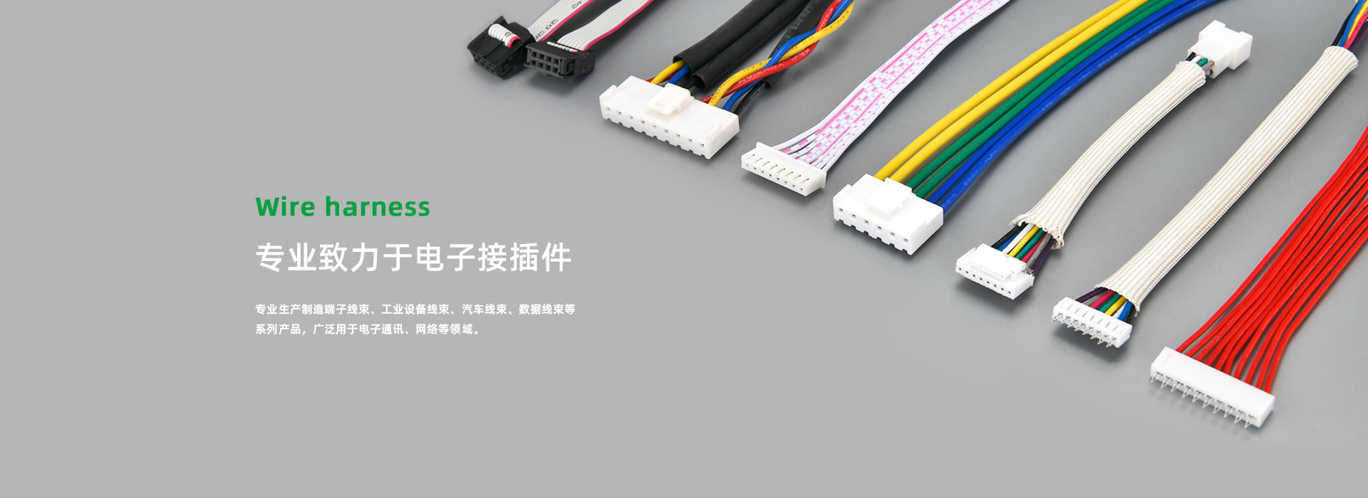 大型成套生產企業